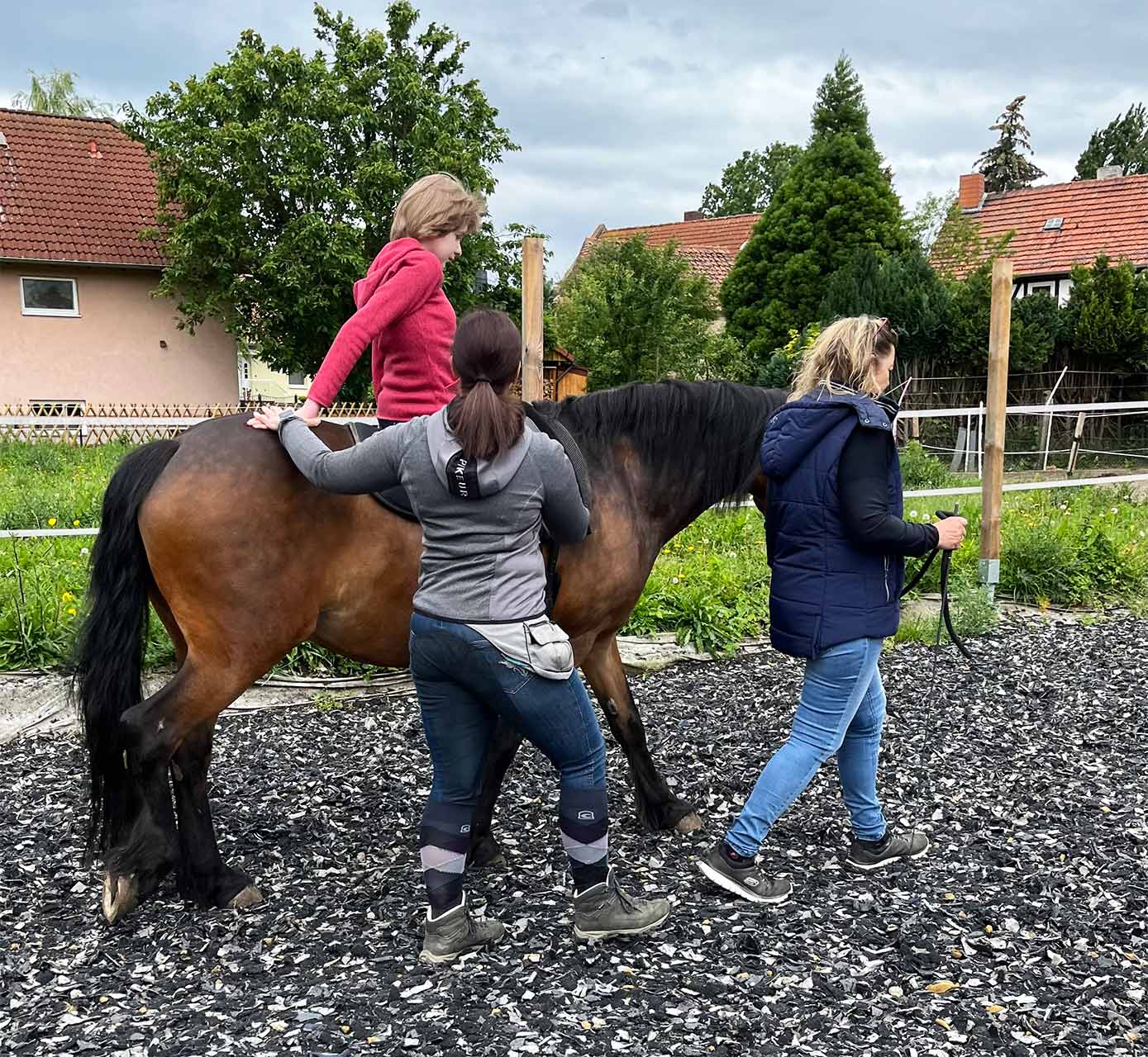 ERGOTHERAPIEpraxis Katharina Gröpler - Ergotherapie und Reittherapie in Halberstadt - Reittherapie (Entfernung von der Praxis: 9 km)