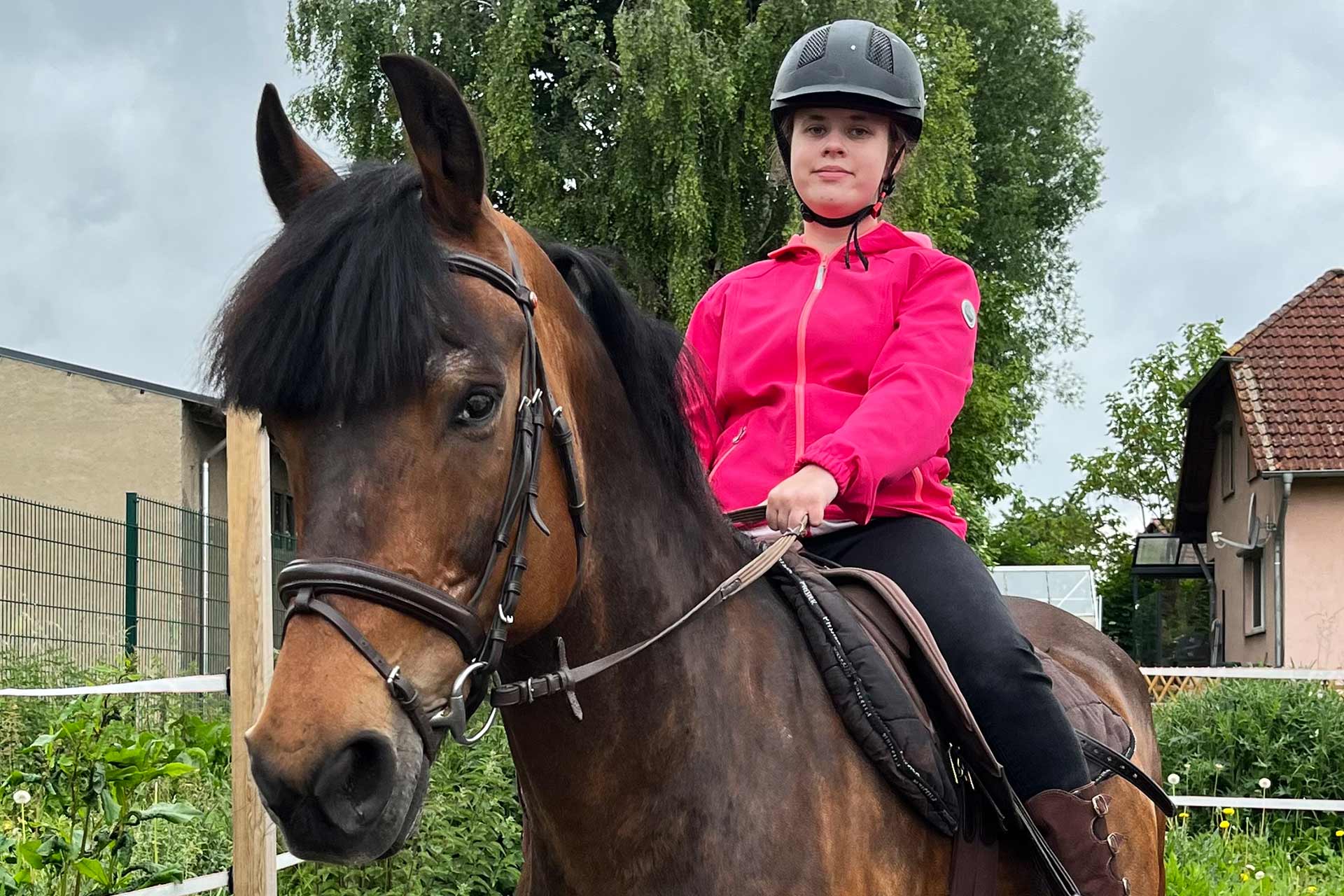 ERGOTHERAPIEpraxis Katharina Gröpler - Ergotherapie und Reittherapie in Halberstadt - Reiten, Pferd, Pferde